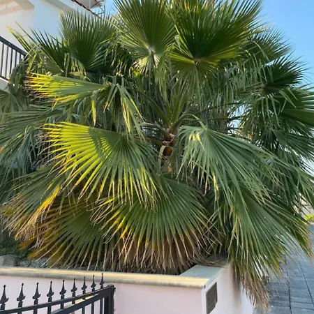 Cyprus With Pool Near Appartamento Peyia