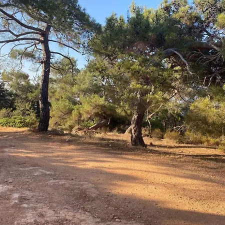 Cyprus With Pool Near 公寓