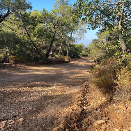 Cyprus With Pool Near 公寓