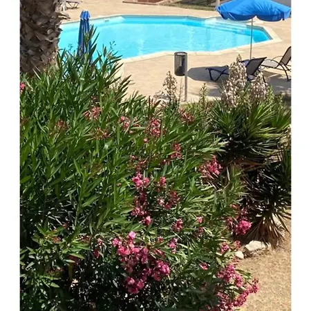 Apartment Cyprus With Pool Near Peyia