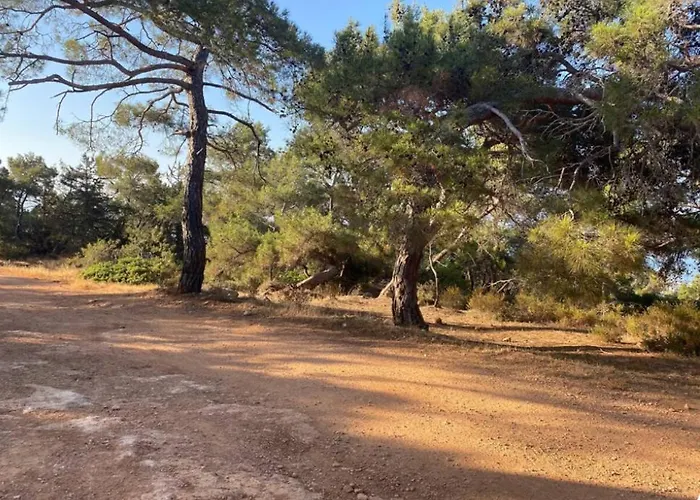 Cyprus With Pool Near アパート