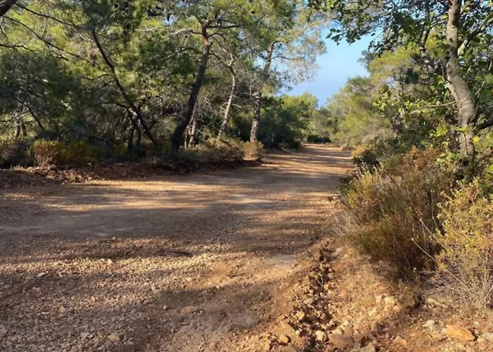 Cyprus With Pool Near アパート